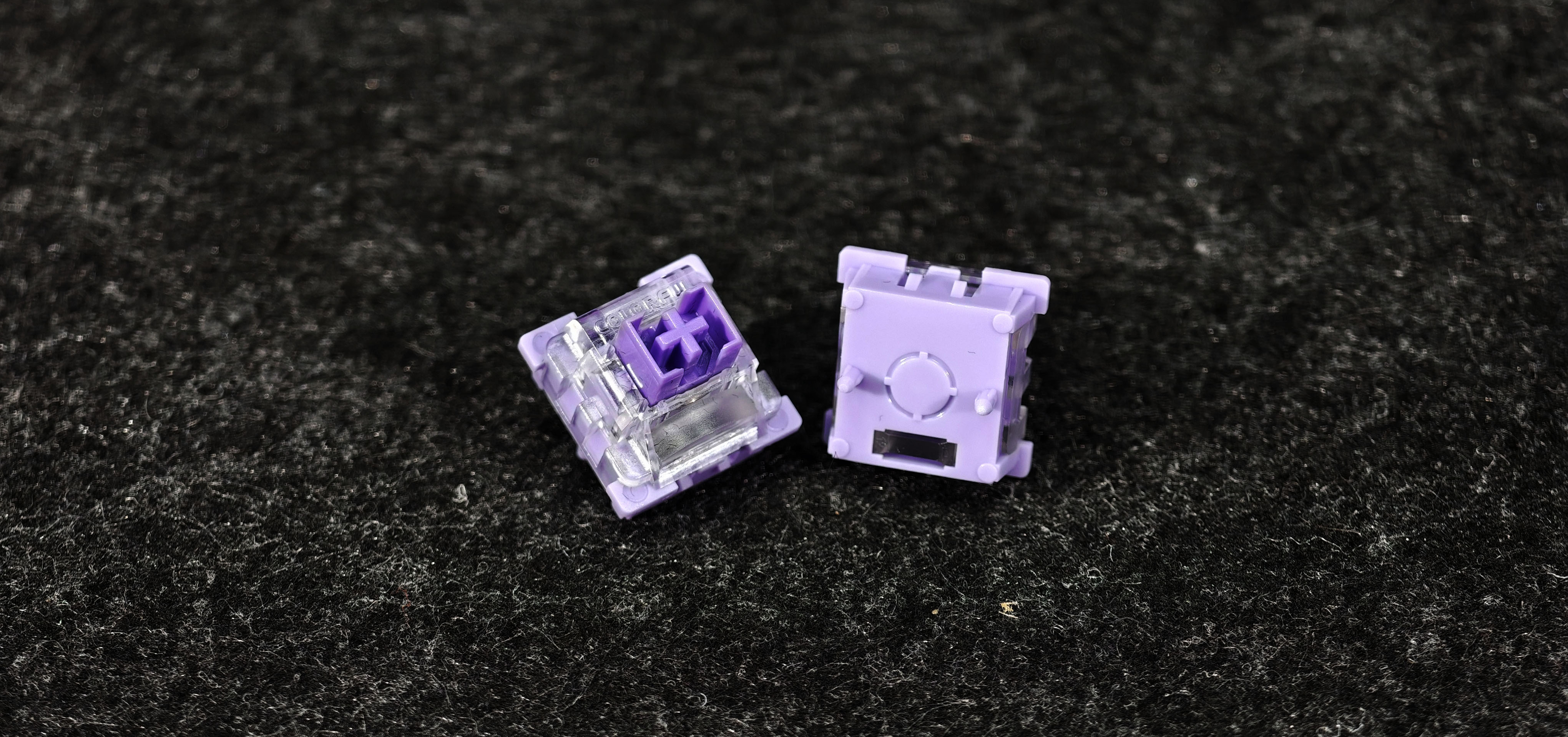 IMG_20251107_213826 拷贝.jpg