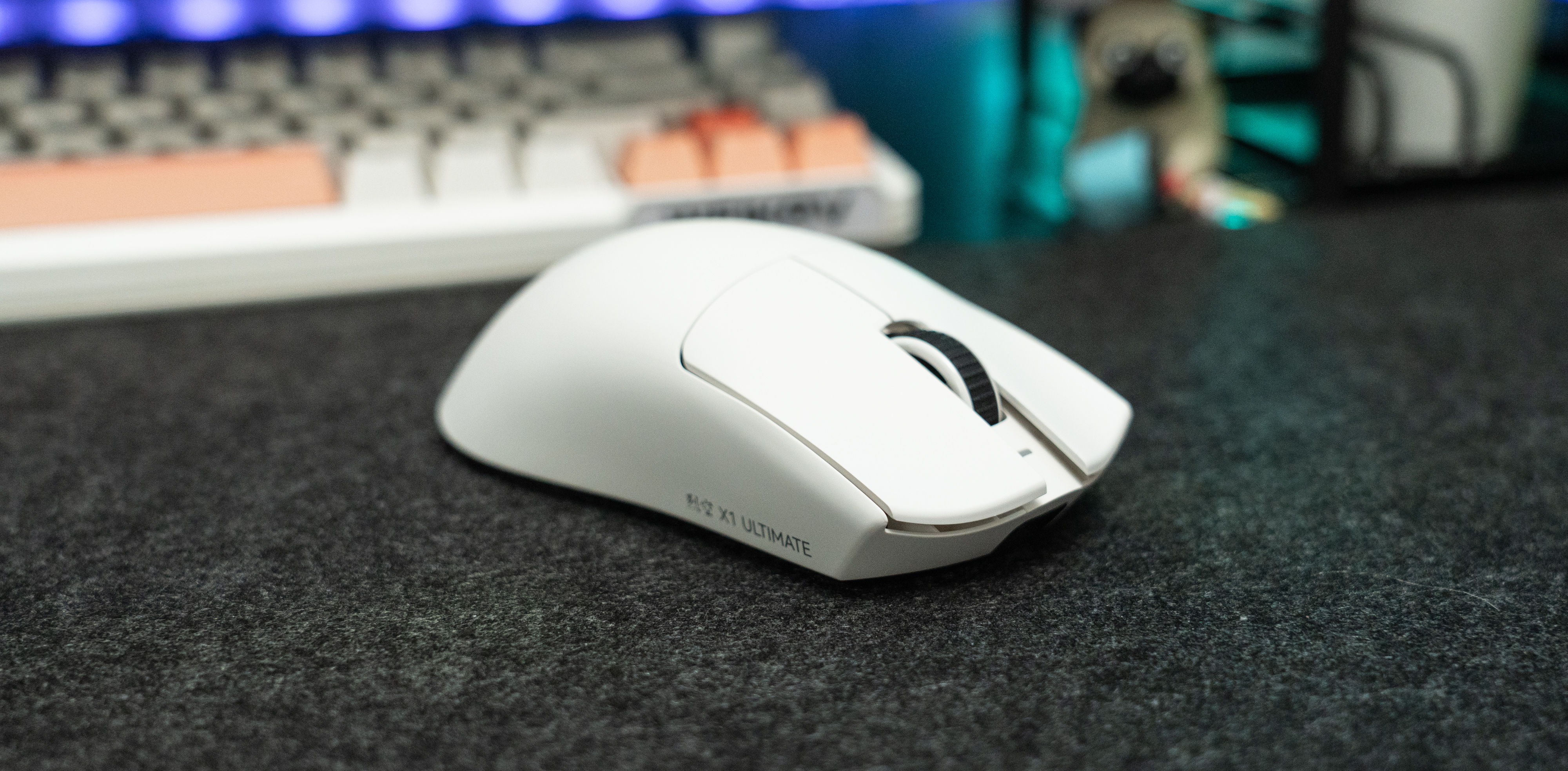 _DSC2986-iqnb.jpg